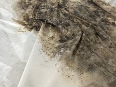 -金鹰国际购物中心(江都店)