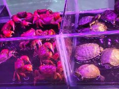 -三旗百汇商品城