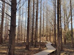 -国家植物园南园