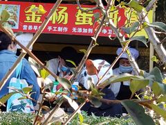 -金杨老摊头蛋饼(金口路店)