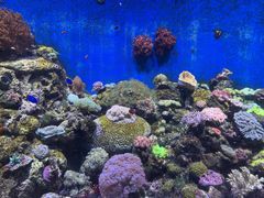 -珠海长隆海洋王国