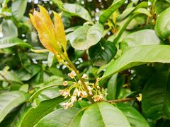 -楠溪江风景名胜区