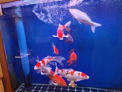 -釜山火炉家泥炉烤肉(东港芳清园店)