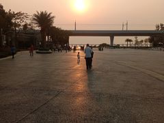 -宝安西湾红树林湿地公园