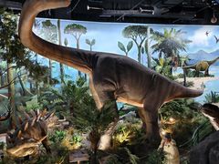 -陕西自然博物馆