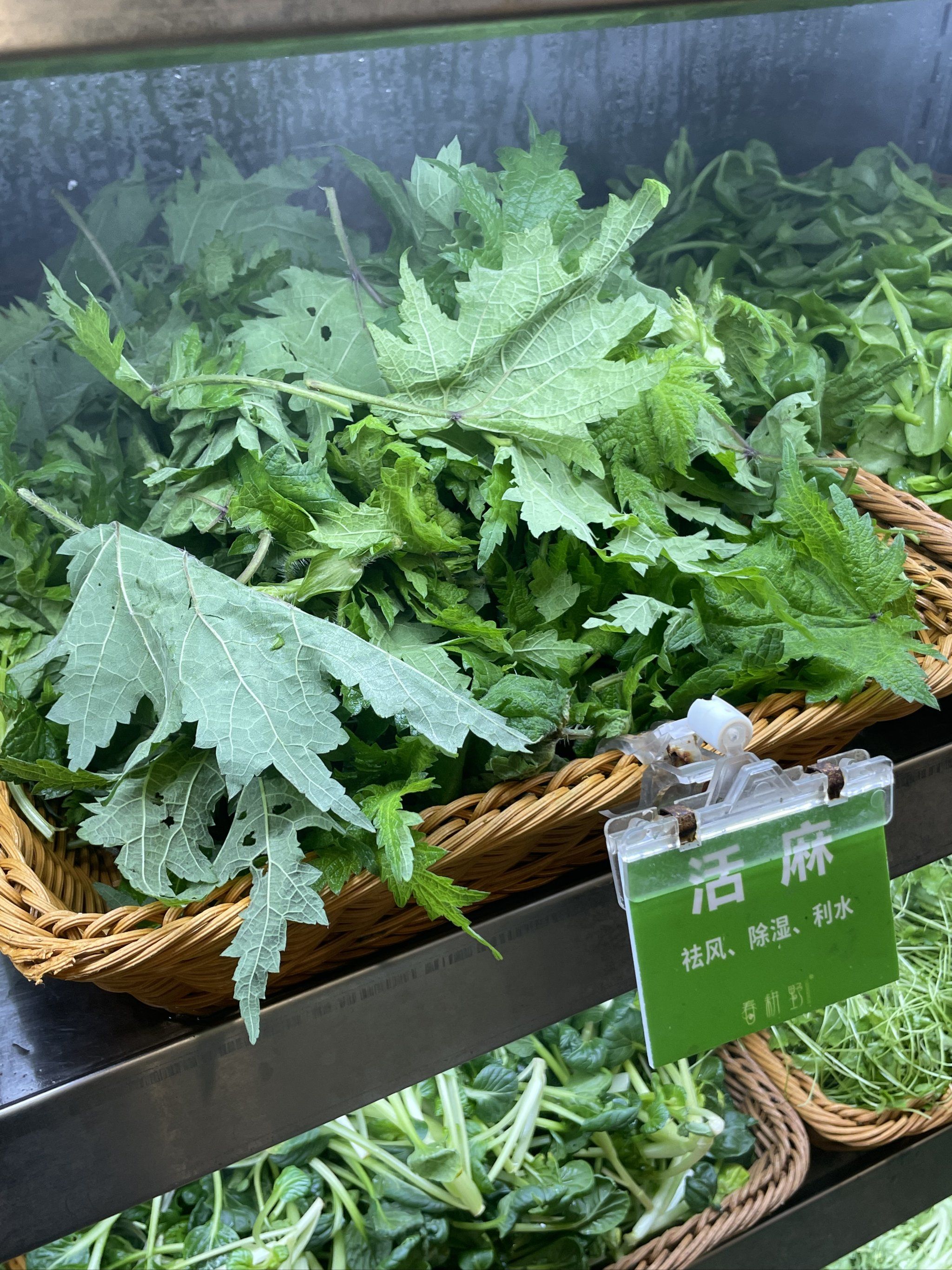 活麻[衰]惊呆我了还是成都人恨呐