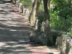 -乌鲁瓦图寺