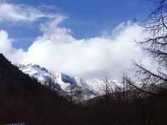 -黄龙山原始森林景区