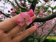 -太湖湖滨国家湿地公园-停车场