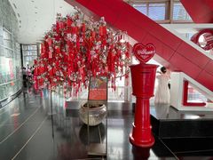 -上海金茂大厦88层观光厅