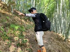 -四明山国家森林公园