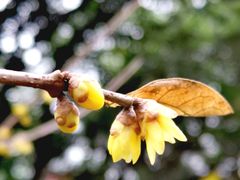 -神旺大酒店-停车场