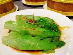-采蝶轩