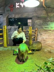 -Zoolung Zoolung动物主题公园(海信广场店)