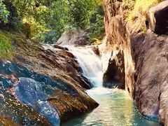 -广州白江湖森林公园