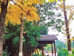 -沙河三洞古桥公园