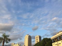 -台场海滨公园船码头