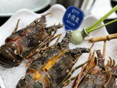 -海月轩海鲜豆捞(紫金塔店)