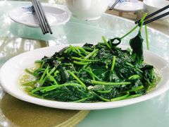 白灼时蔬-兴隆槟榔园休闲农庄