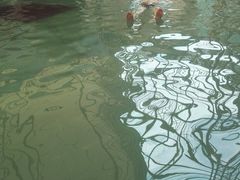 -中国死海旅游度假区