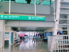 -龙阳路磁悬浮列车总站-停车场