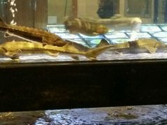 -麦斯汀烘焙坊(建昌兴隆店)