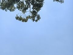 -LAVAZZA拉瓦萨咖啡(上海金融街店)