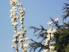 -武汉马哥孛罗酒店