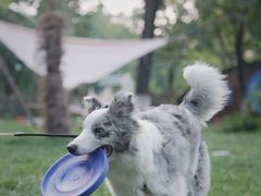 -Supine Bistro溯泮餐厅