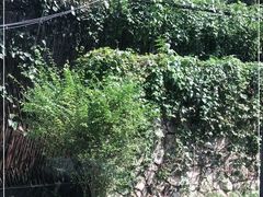 -辉哥火锅(虹桥路店)