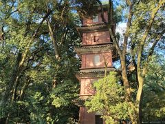 -阿育王寺