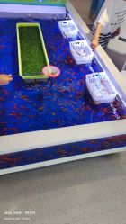 -孩子王(云龙万达店)