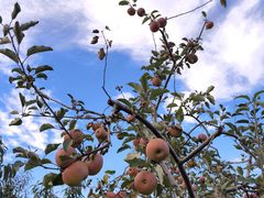-丽江泸沽湖景区