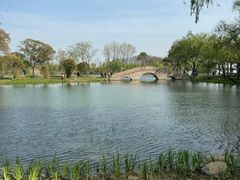-渤公岛生态公园