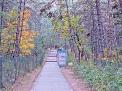 -帽儿山国家森林公园