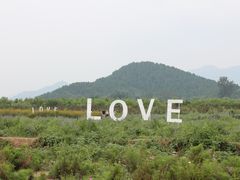 -北京东方普罗旺斯薰衣草庄园