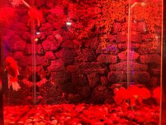 -秦皇岛新澳海底世界