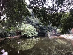 -成都市活水公园