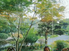 -浙江西子宾馆·瑶园咖啡厅