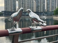 -西北湖绿化广场