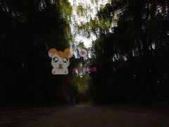 -紫霞湖公园