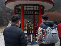 -庐山风景区花径公园