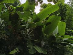 -昆明动物园