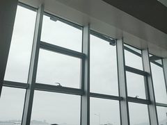 -刘公岛景区