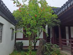 -江心屿景区