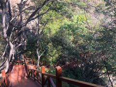 -大岭沟猕猴桃谷风景区