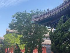 -天津妈祖文化园