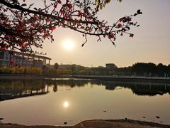 -西南政法大学(渝北校区)
