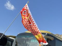 -大芦花风景区