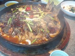 -老板恋上鱼(恒隆广场店)